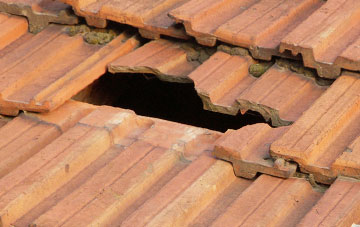 roof repair Parkend, Gloucestershire